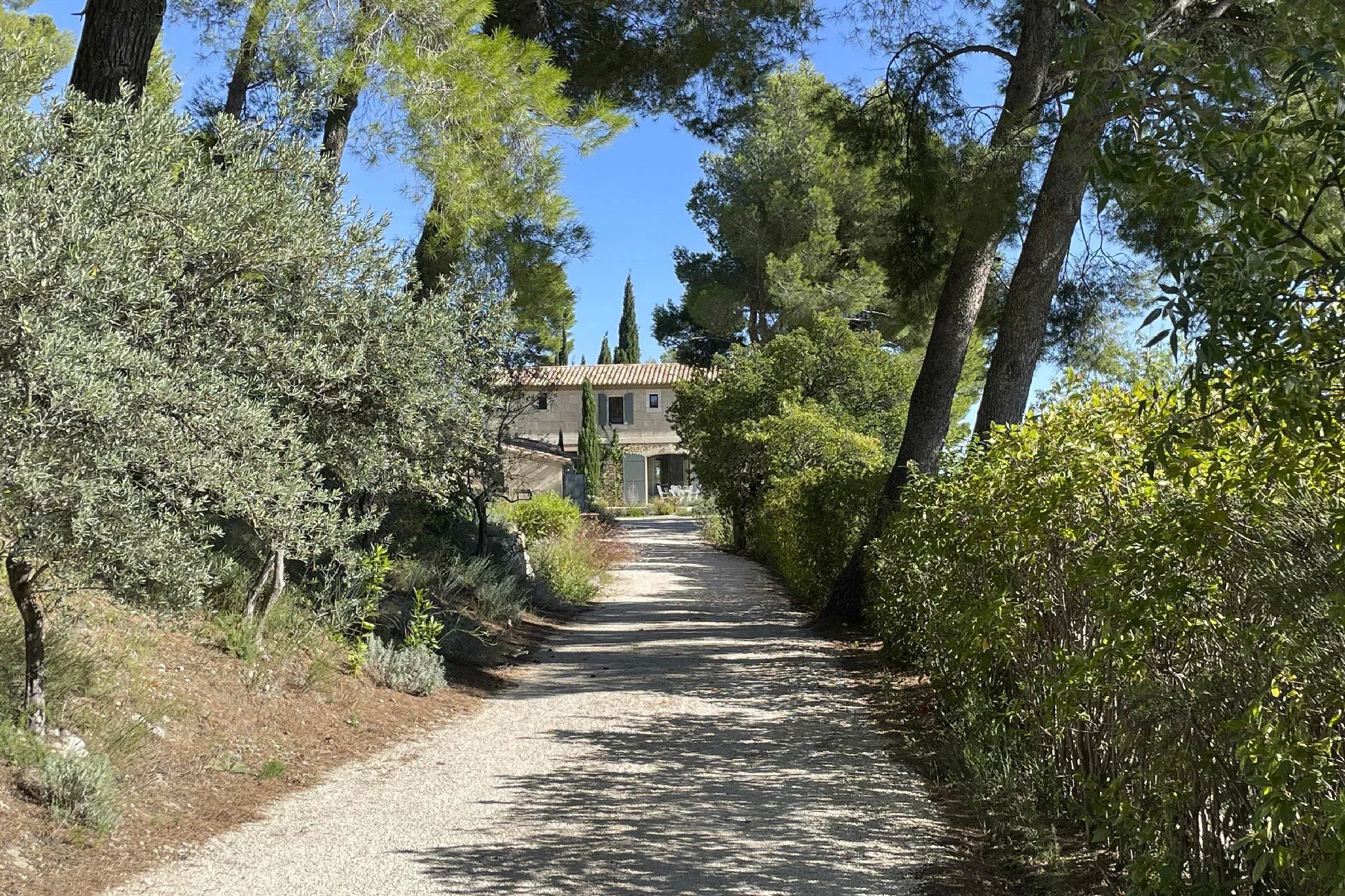 L'allée de l'entrée du Mas